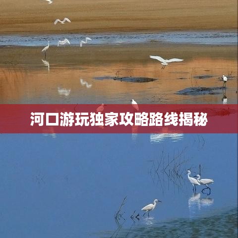 河口游玩独家攻略路线揭秘