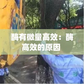酶有微量高效：酶高效的原因 
