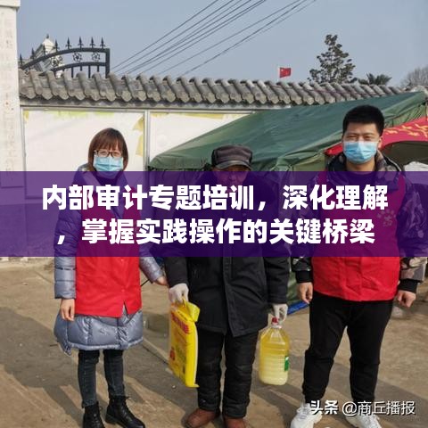 内部审计专题培训，深化理解，掌握实践操作的关键桥梁