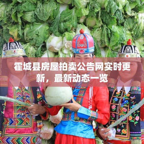 霍城县房屋拍卖公告网实时更新，最新动态一览