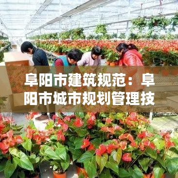 阜阳市建筑规范：阜阳市城市规划管理技术规定 