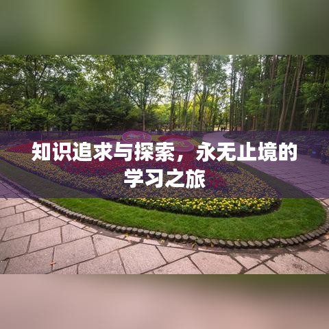 去就之分 第3页