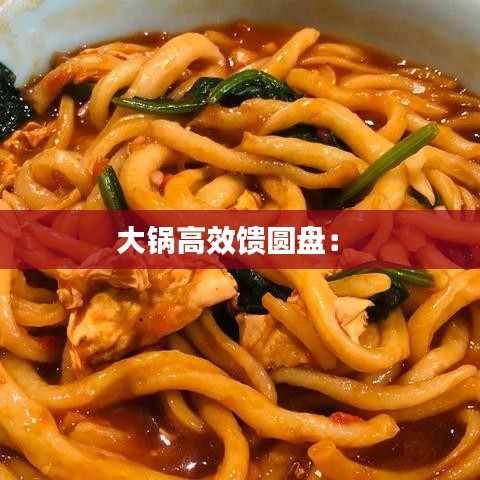 大锅高效馈圆盘： 