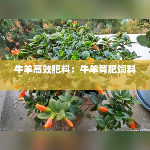 水库鱼塘清淤 第54页