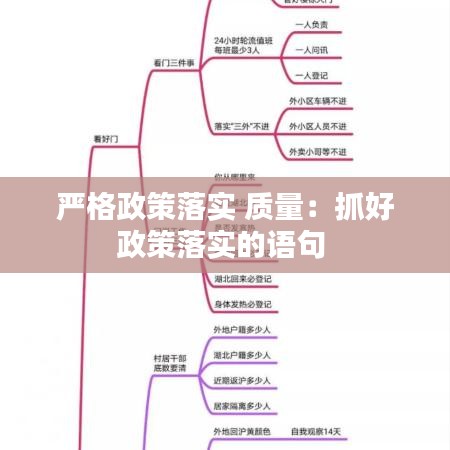 严格政策落实 质量：抓好政策落实的语句 