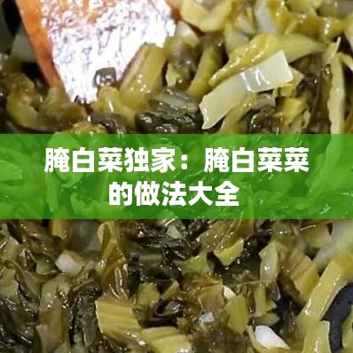 腌白菜独家：腌白菜菜的做法大全 