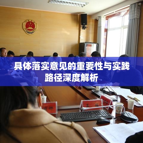 具体落实意见的重要性与实践路径深度解析