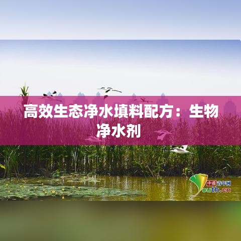 高效生态净水填料配方：生物净水剂 