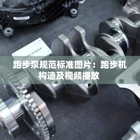 跑步泵规范标准图片：跑步机构造及视频播放 