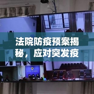 法院防疫预案揭秘，应对突发疫情，筑牢安全防线