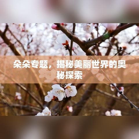 朵朵专题，揭秘美丽世界的奥秘探索