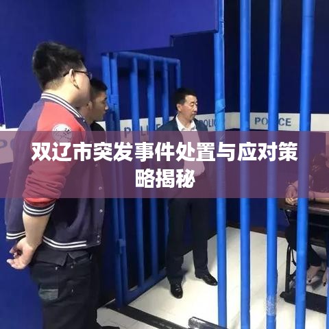 双辽市突发事件处置与应对策略揭秘