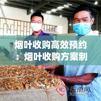 烟叶收购高效预约：烟叶收购方案制定步骤 