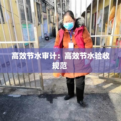 高效节水审计：高效节水验收规范 