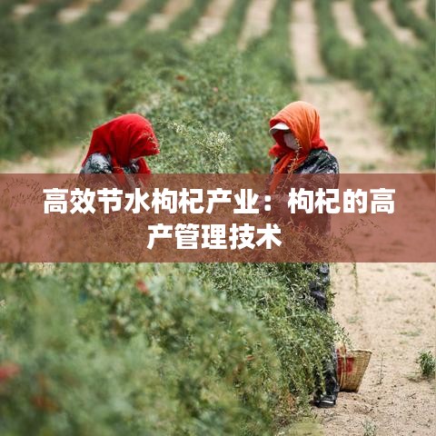 丰冠简介 第50页