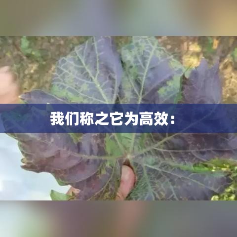 我们称之它为高效： 