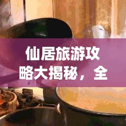 仙居旅游攻略大揭秘，全方位指南与价格详解