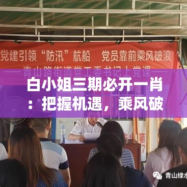 白小姐三期必开一肖：把握机遇，乘风破浪