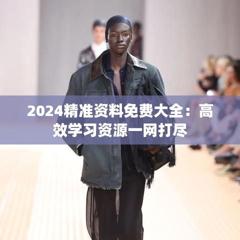 2024精准资料免费大全：高效学习资源一网打尽