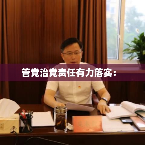 管党治党责任有力落实： 