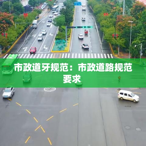 市政道牙规范：市政道路规范要求 