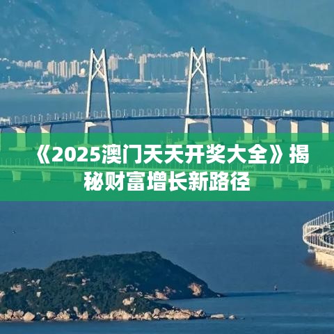《2025澳门天天开奖大全》揭秘财富增长新路径
