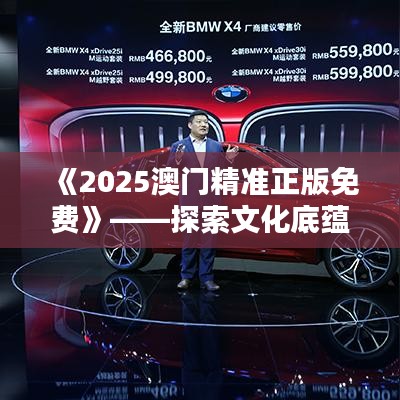 《2025澳门精准正版免费》——探索文化底蕴，享受尊贵服务