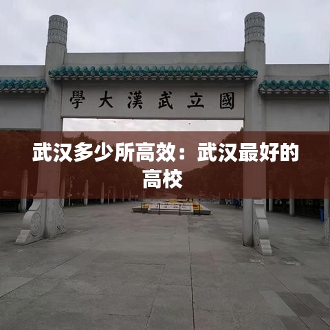 武汉多少所高效：武汉最好的高校 