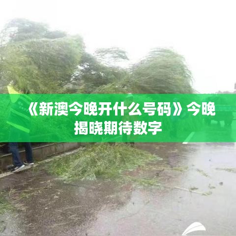 《新澳今晚开什么号码》今晚揭晓期待数字