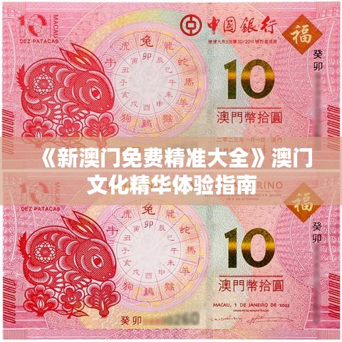《新澳门免费精准大全》澳门文化精华体验指南