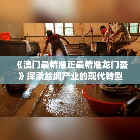 《澳门最精准正最精准龙门蚕》探索丝绸产业的现代转型