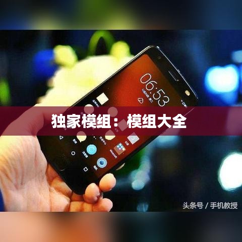 独家模组：模组大全 