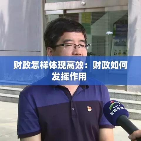 财政怎样体现高效：财政如何发挥作用 