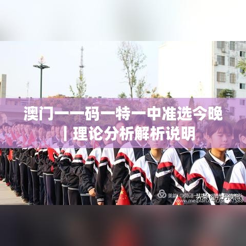 澳门一一码一特一中准选今晚｜理论分析解析说明