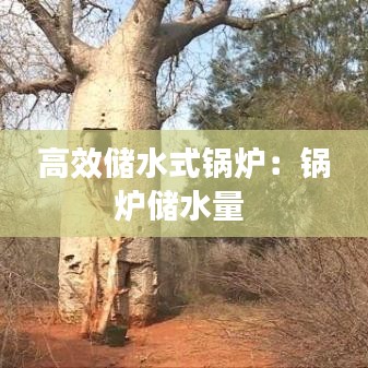 高效储水式锅炉：锅炉储水量 