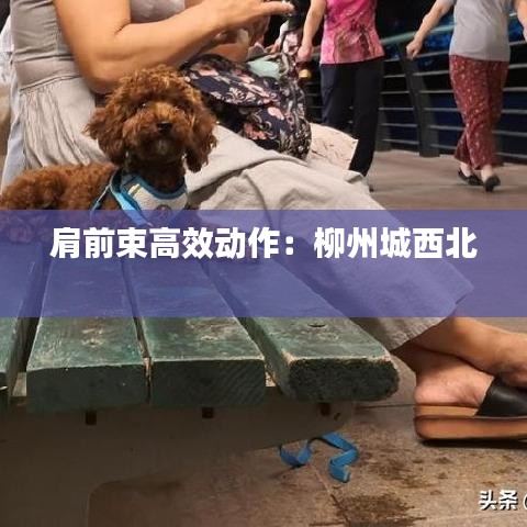 肩前束高效动作：柳州城西北 