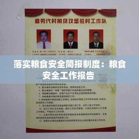 落实粮食安全简报制度：粮食安全工作报告 