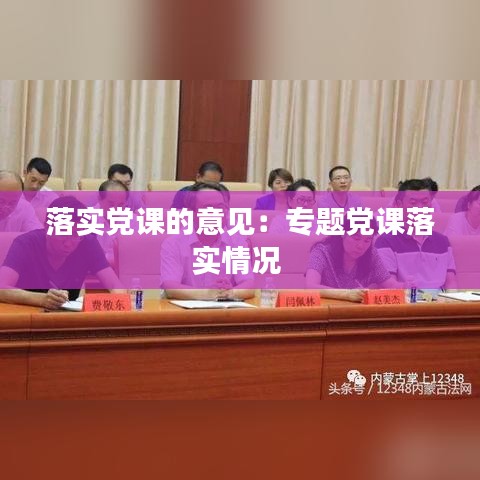 落实党课的意见：专题党课落实情况 