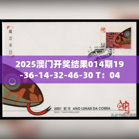 2025澳门开奖结果014期19-36-14-32-46-30 T：04