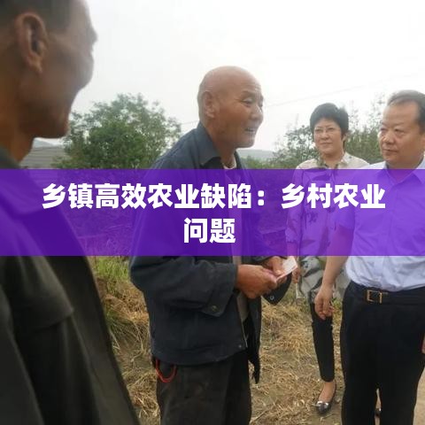 乡镇高效农业缺陷：乡村农业问题 