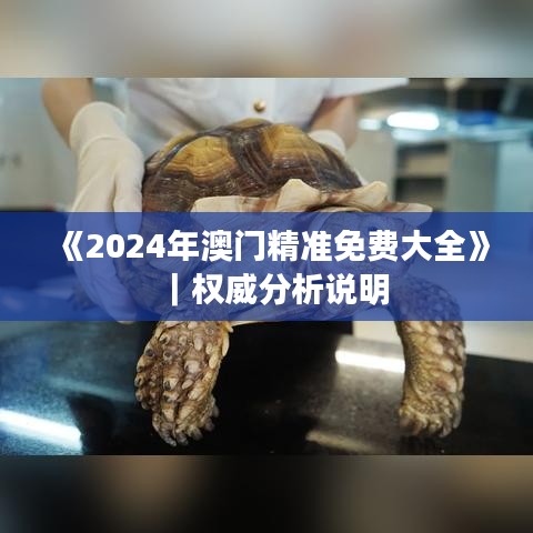 《2024年澳门精准免费大全》｜权威分析说明