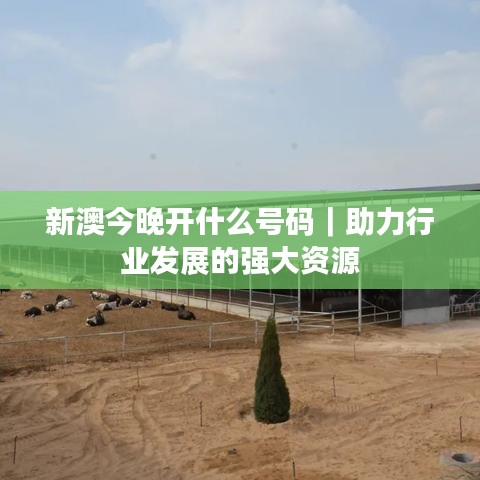 新澳今晚开什么号码｜助力行业发展的强大资源