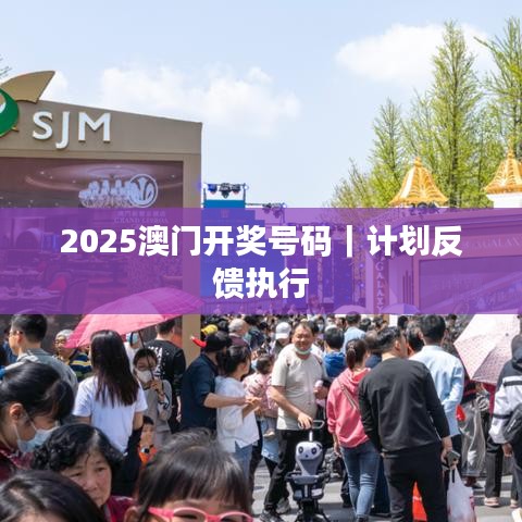 2025澳门开奖号码｜计划反馈执行