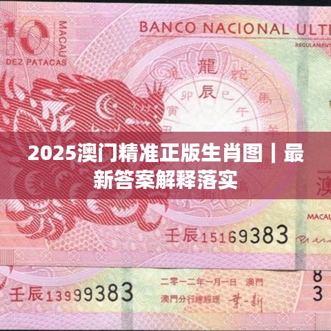 2025澳门精准正版生肖图｜最新答案解释落实