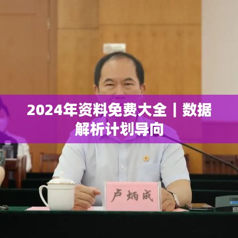 2024年资料免费大全｜数据解析计划导向