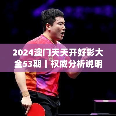 2024澳门天天开好彩大全53期｜权威分析说明