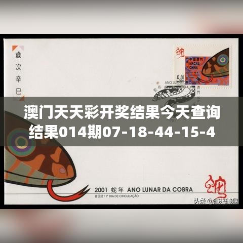 澳门天天彩开奖结果今天查询结果014期07-18-44-15-40-41 T：19｜经验分享解答落实