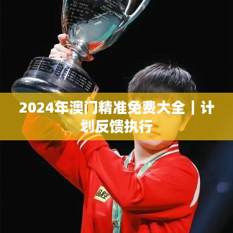 2024年澳门精准免费大全｜计划反馈执行