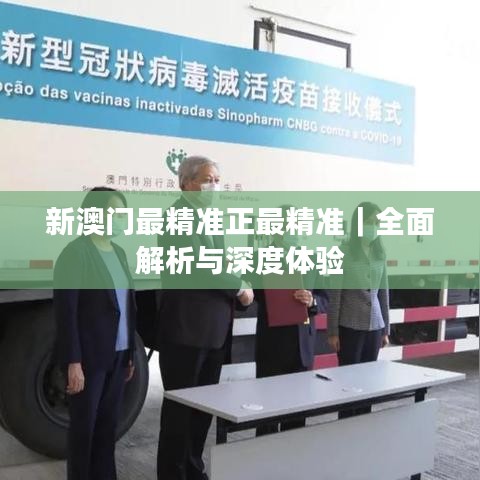 新澳门最精准正最精准｜全面解析与深度体验