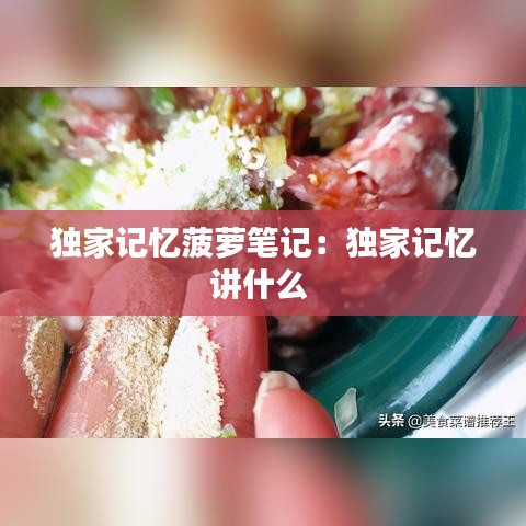 独家记忆菠萝笔记：独家记忆讲什么 